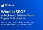 What is SEO? A Beginner’s Guide to Search Engine Optimization