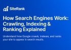 How Search Engines Work: Crawling, Indexing & Ranking Explained