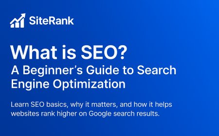 What is SEO? A Beginner’s Guide to Search Engine Optimization