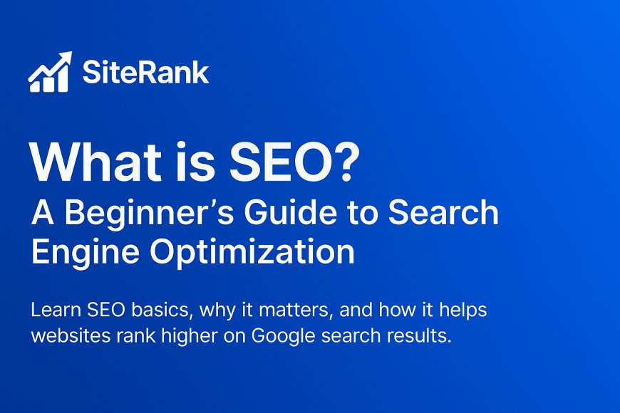 What is SEO? A Beginner’s Guide to Search Engine Optimization